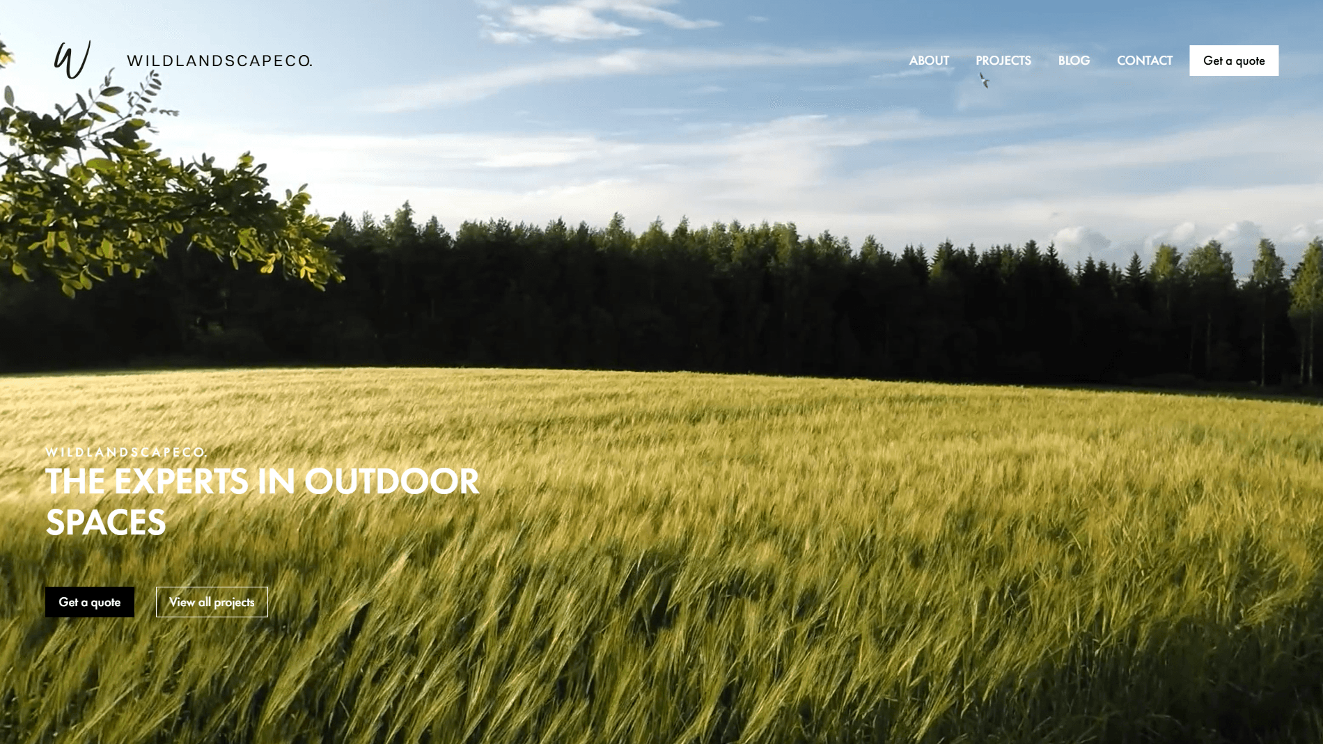 Wild Landscape Co. Brand Hub